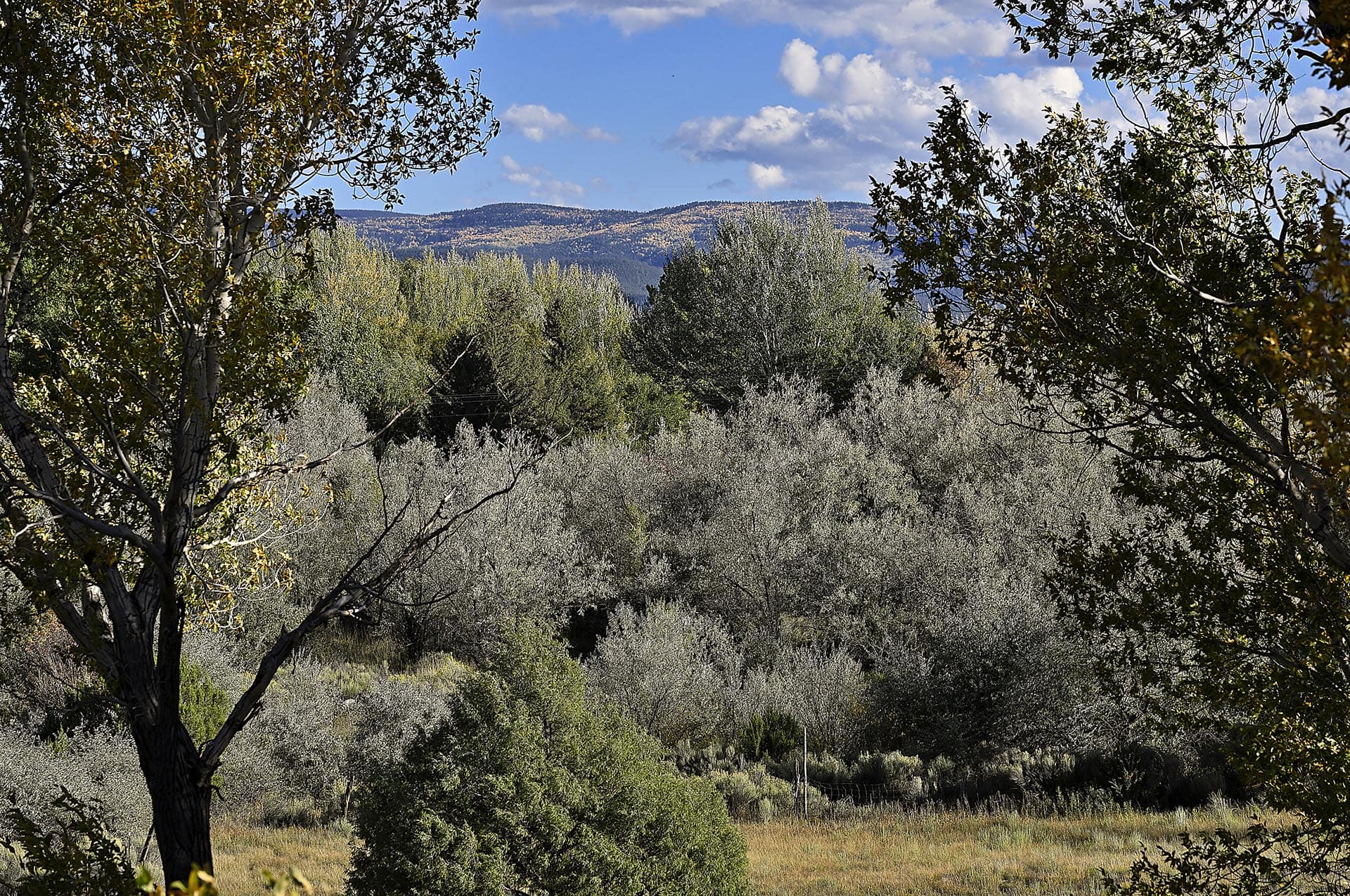 creek bottom new mexico dos rios