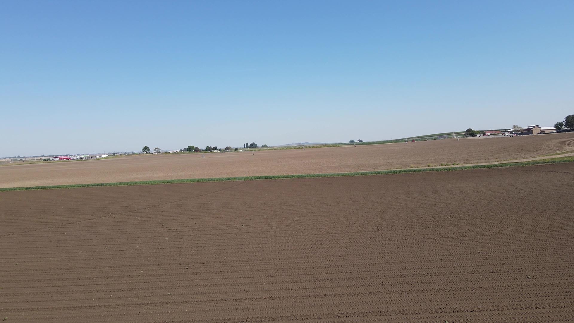 cropland view washington preston organic irrigated farm