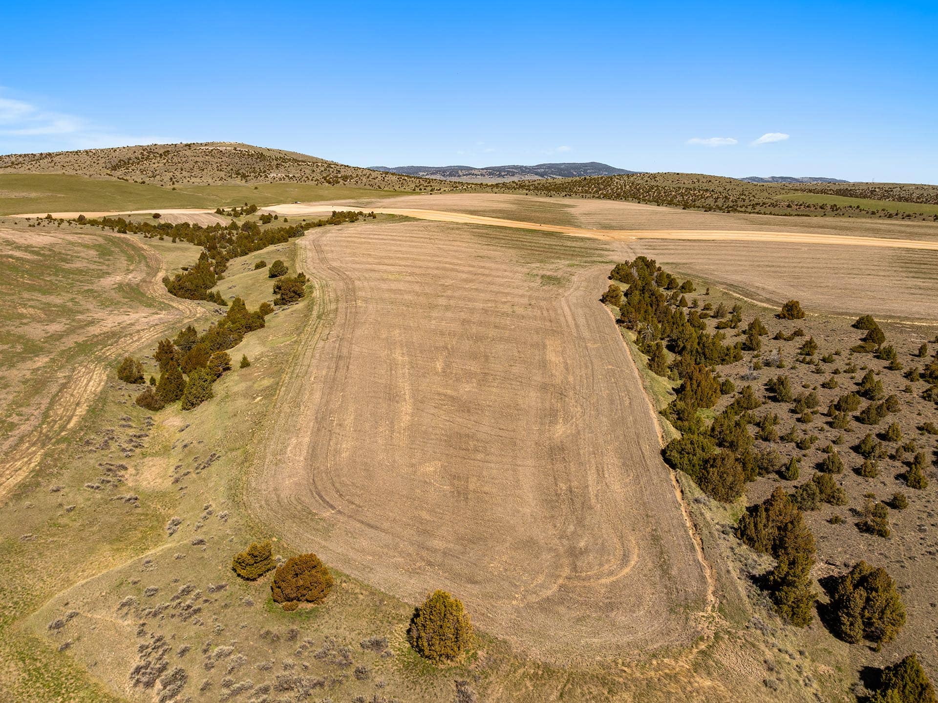 cultivated fields and rolling hills montana skinner road sanctuary at sxs ranch
