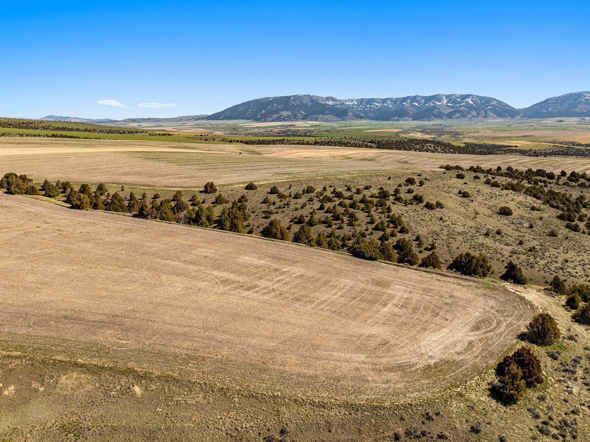 cultivated fields with mountain backdrop montana skinner road sanctuary at sxs ranch