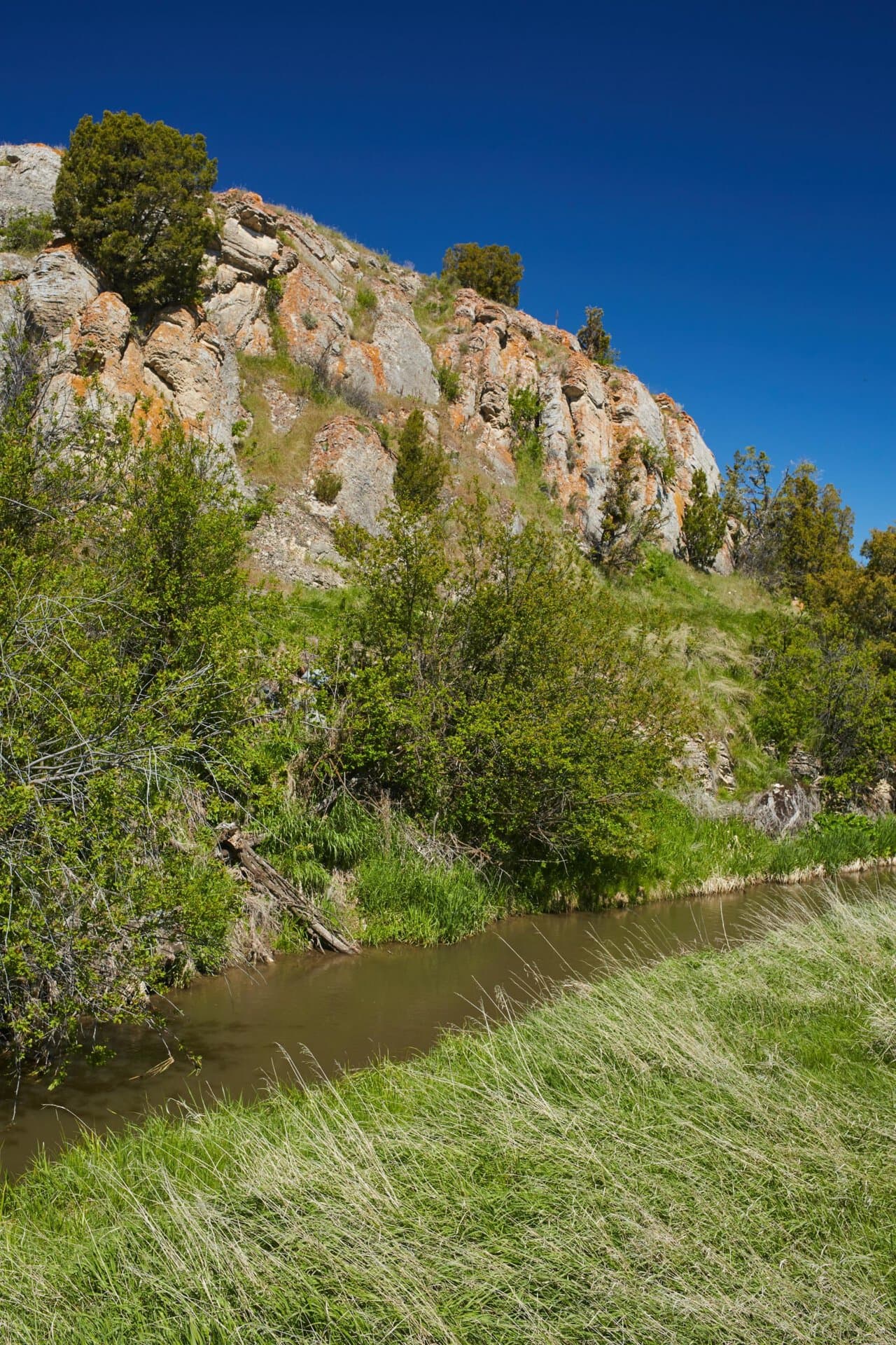 dry creek montana golden meadow at sxs ranch