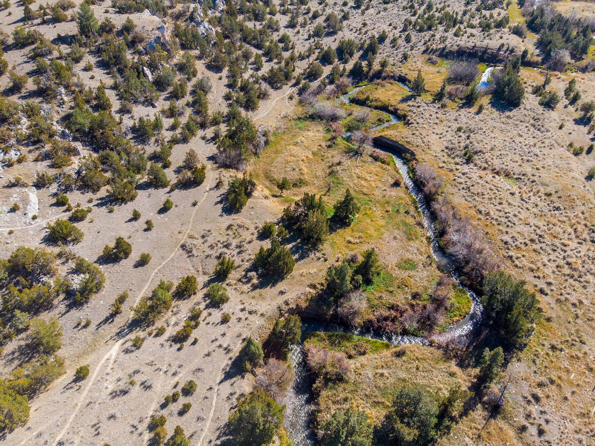 dry creek vegetation montana dry creek wilderness at sxs ranch