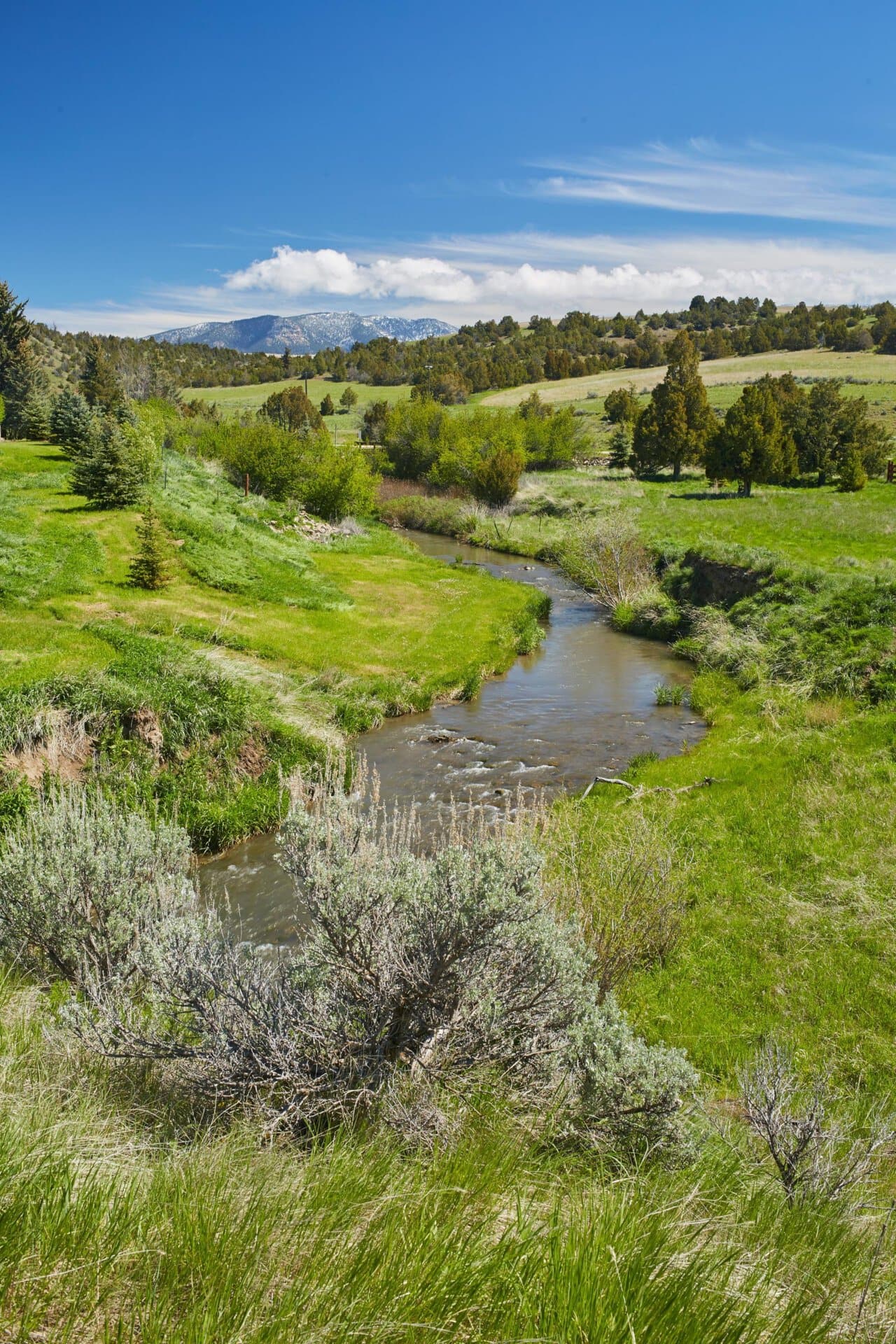 dry creek view montana whitetail hollow at sxs ranch
