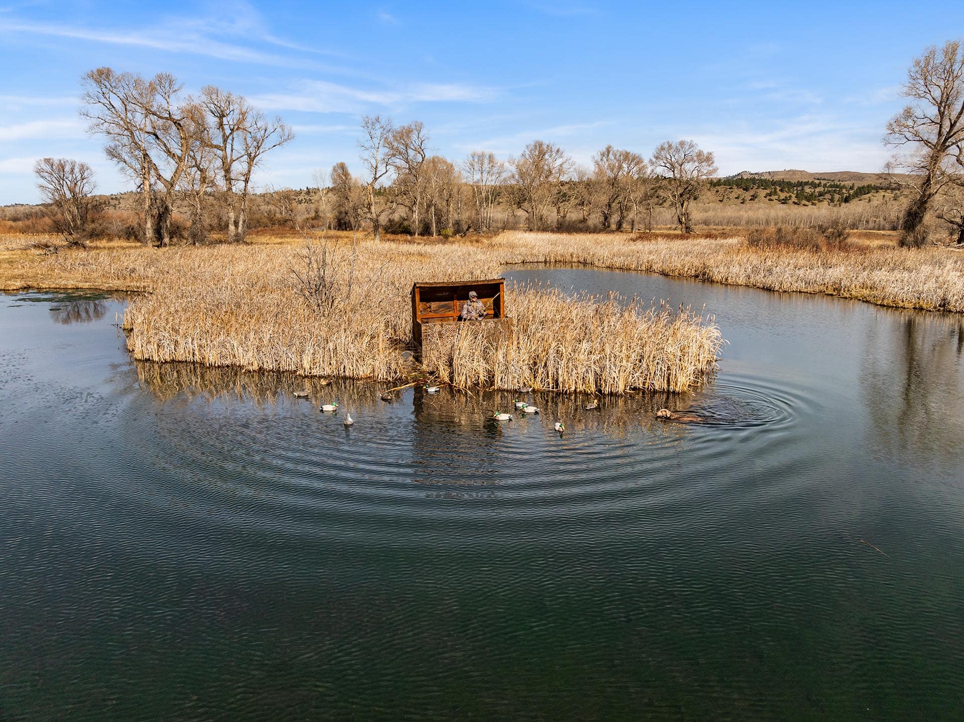 duck hunting property for sale montana mallard springs ranch