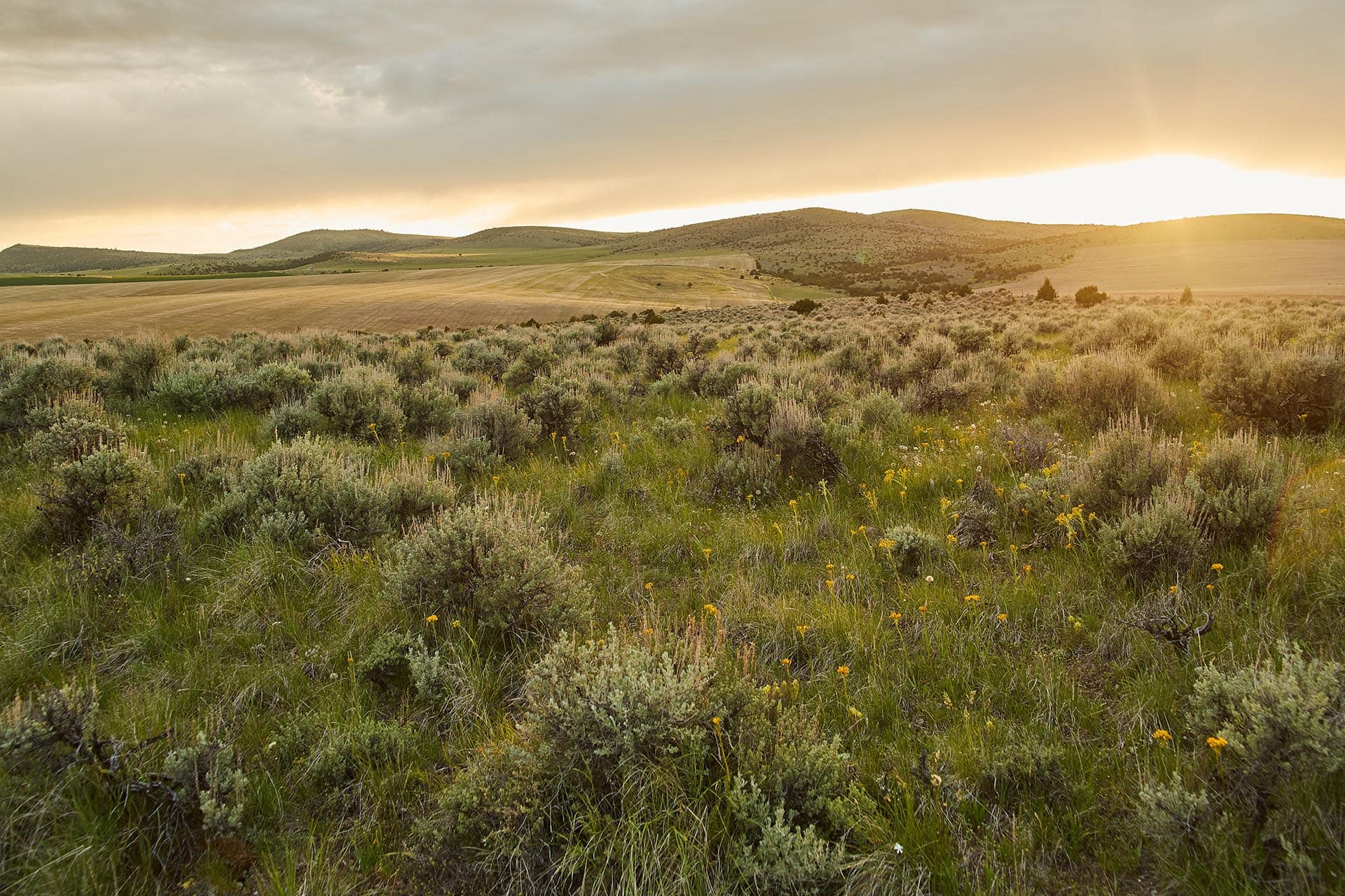 evening glow montana dry creek wilderness at sxs ranch