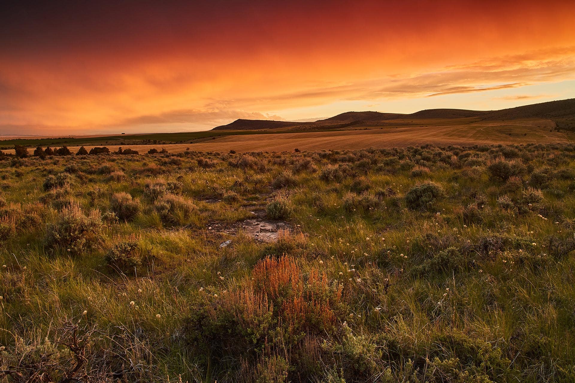 evening glow montana whitetail hollow at sxs ranch