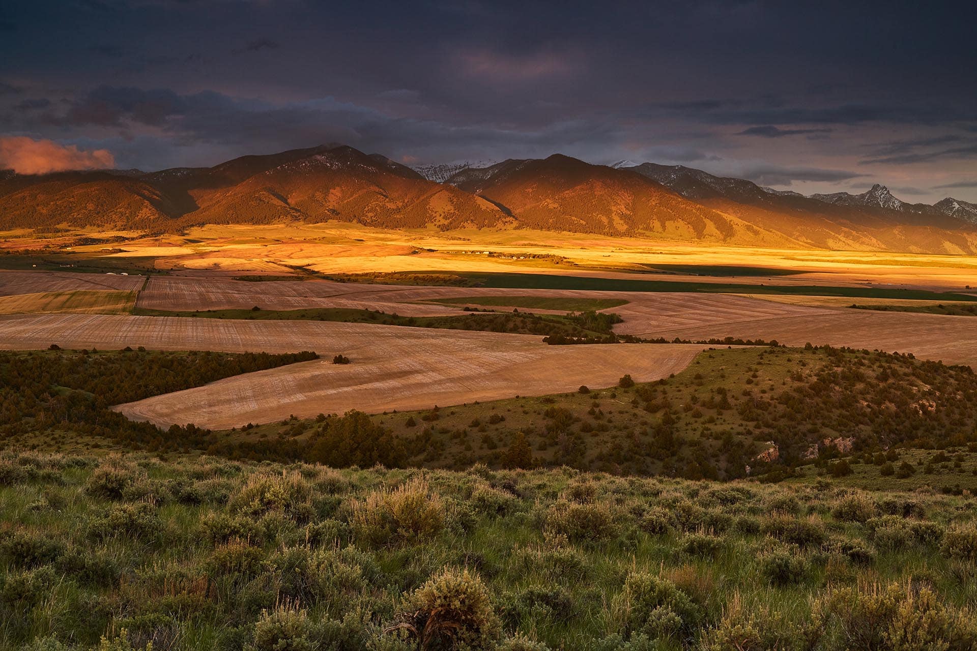 evening light montana whitetail hollow at sxs ranch