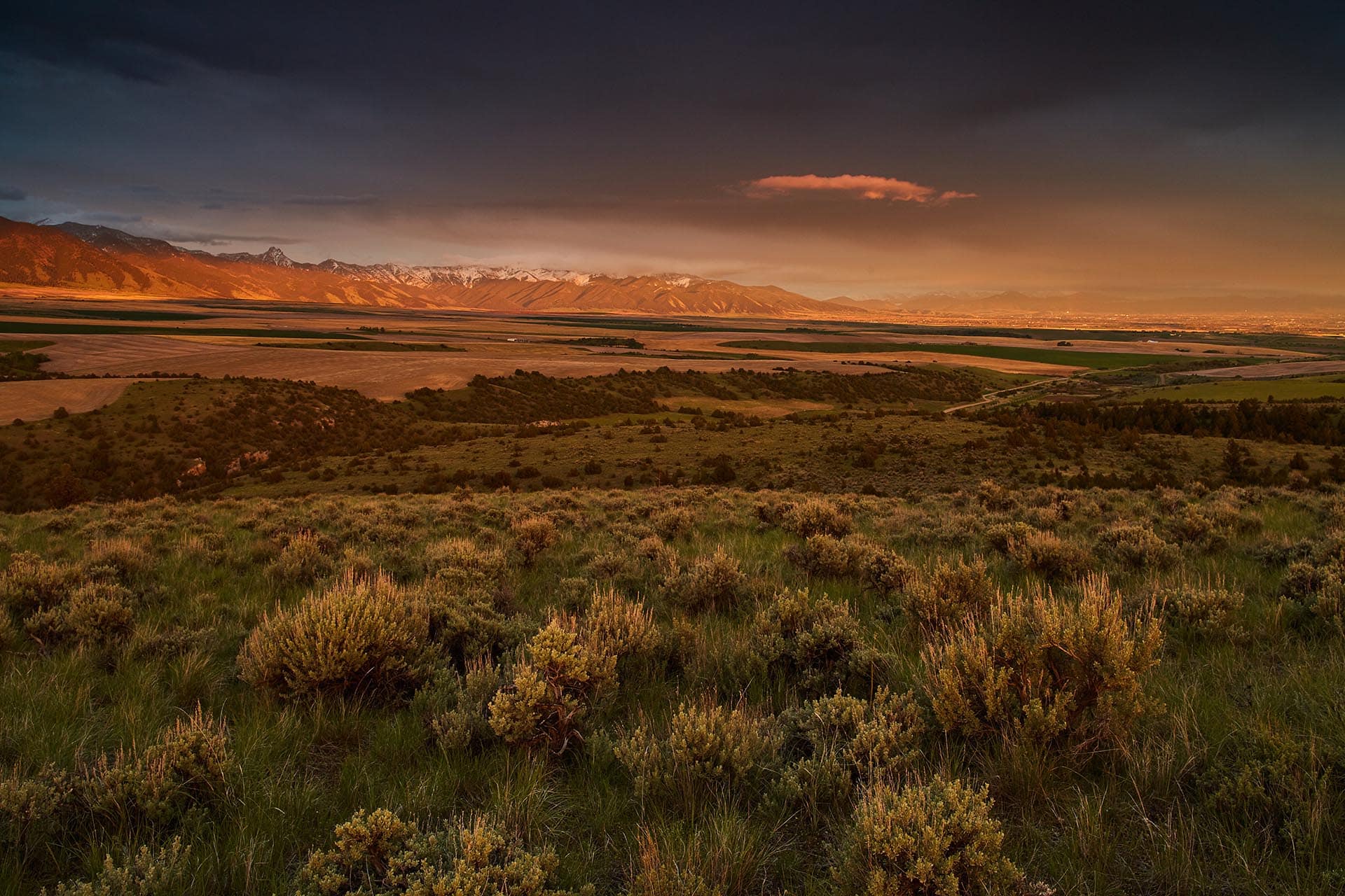 evening mountain glow montana golden meadow at sxs ranch