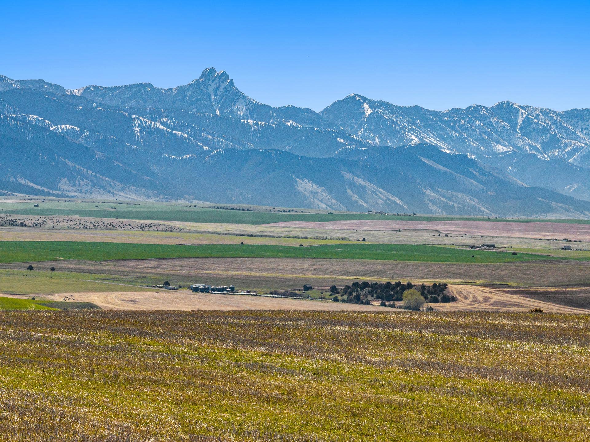 expansive fields with mountain range views montana golden meadow at sxs ranch