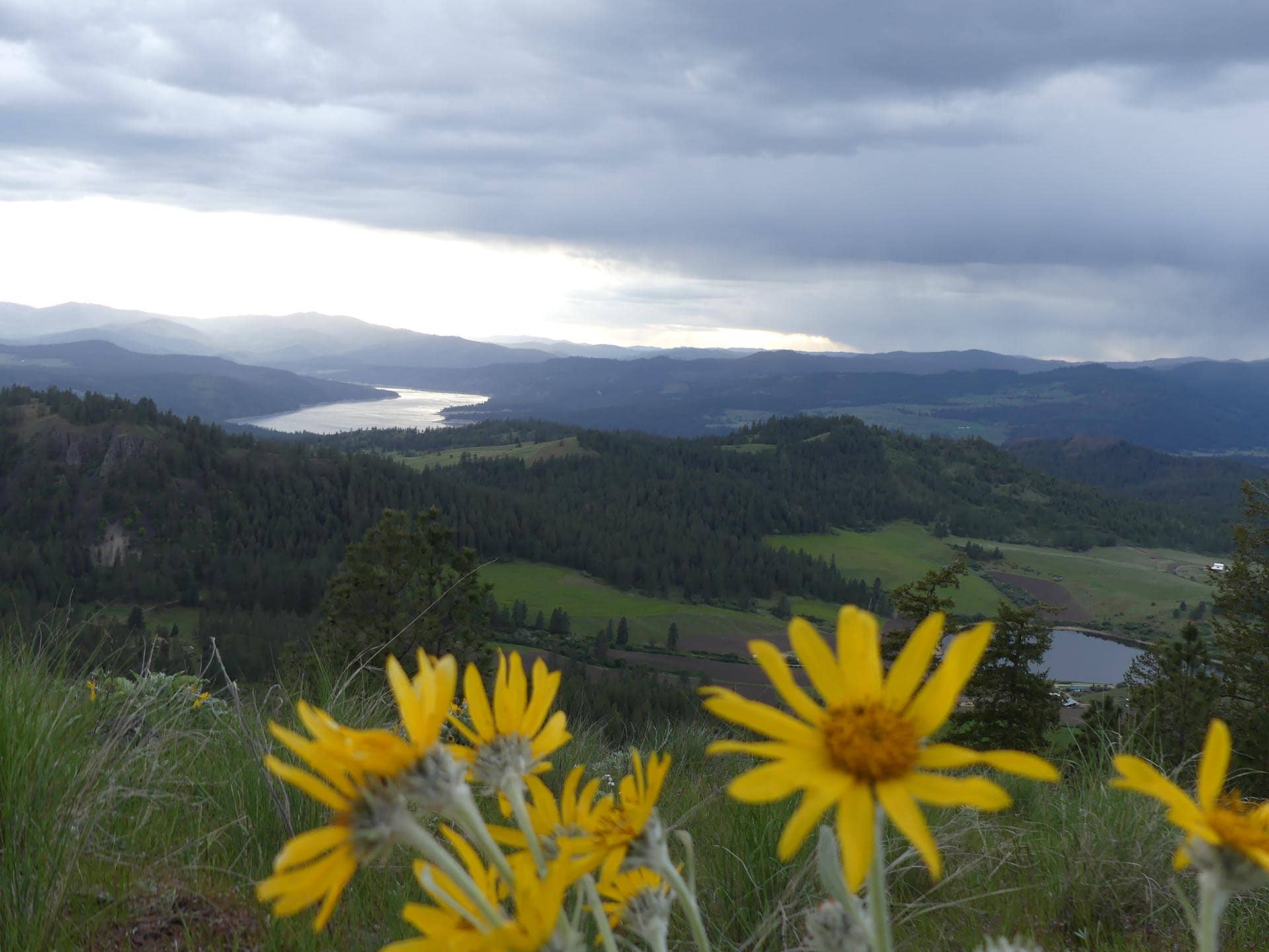 farm and ranch land washington elk ridge