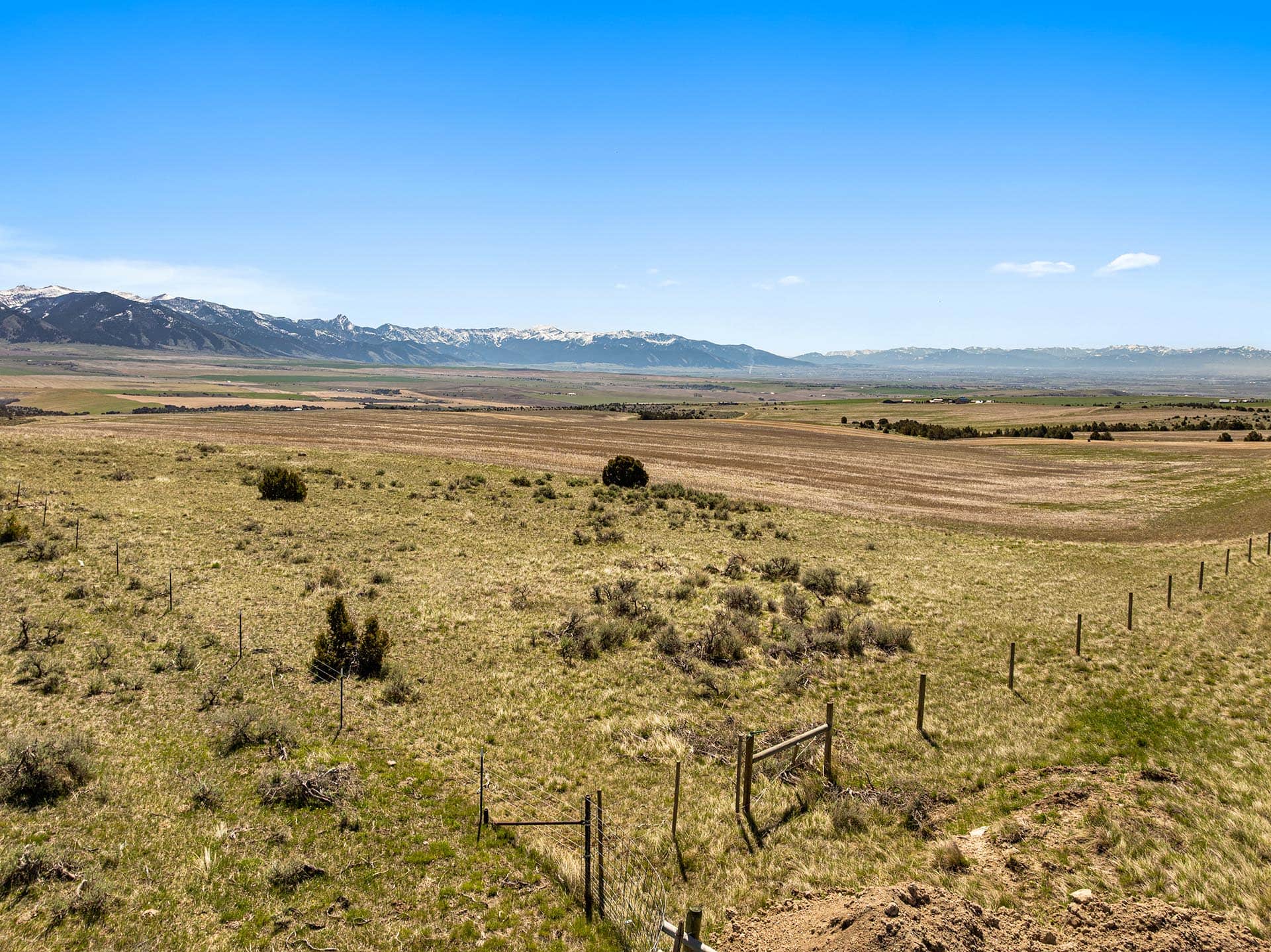 Wide rural plain with dry grass and scattered shrubs, a fence in the foreground, and snow-capped mountains on the horizon under a clear blue sky.