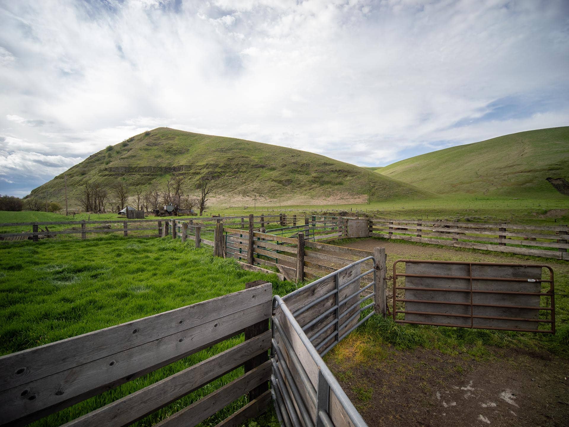 fencing washington whitmore hereford cattle ranch