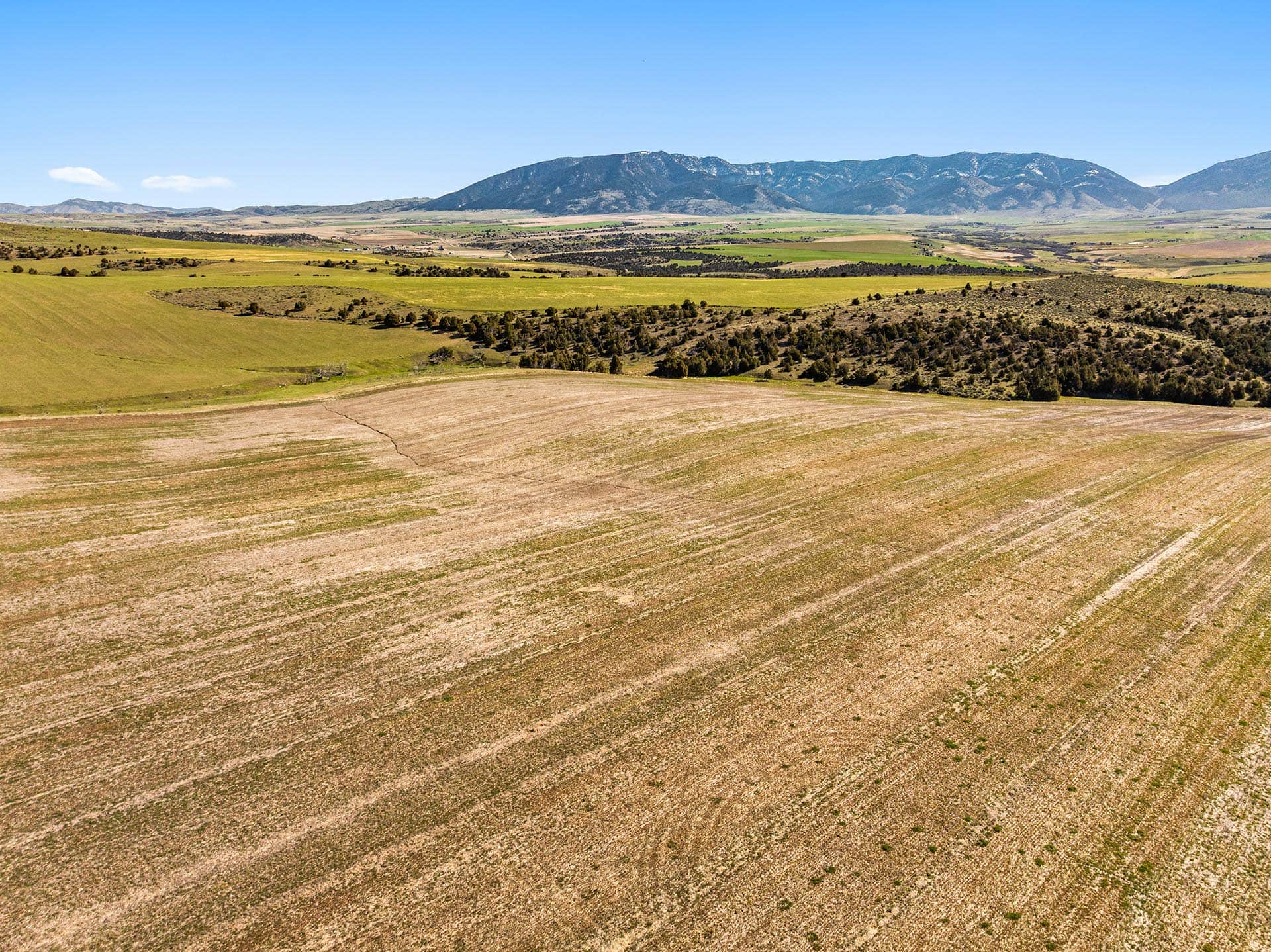 fields montana ridgeline legacy at sxs ranch