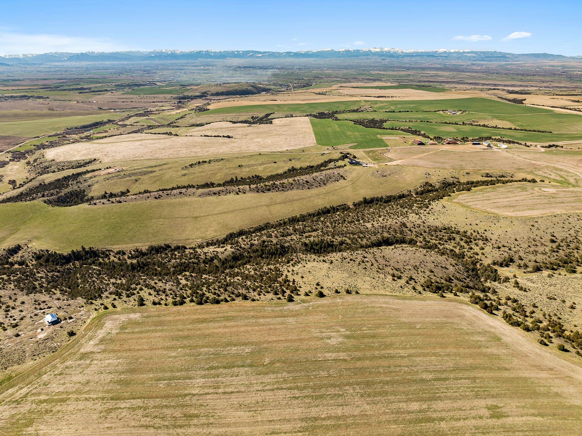 fields montana whitetail hollow at sxs ranch