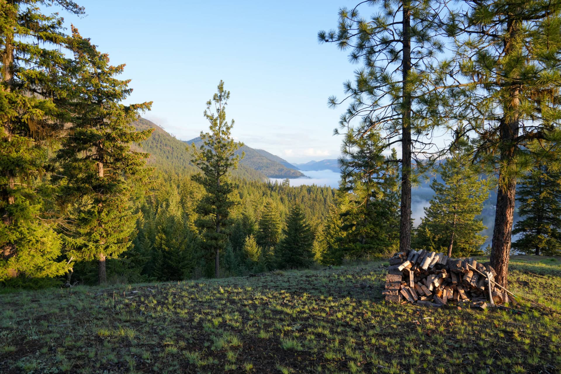 firewood montana clark fork river sporting ranch