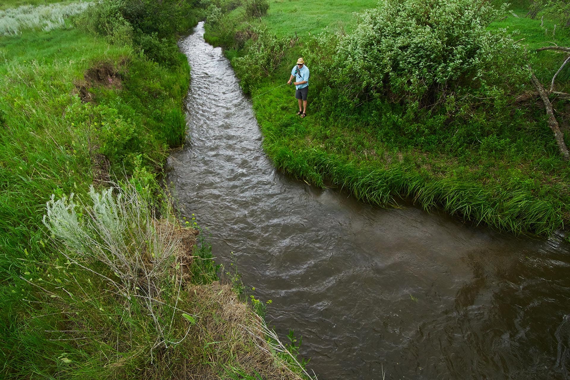 Man wearing a hat and light blue shirt stands on a grassy riverbank, fishing in a narrow stream.
