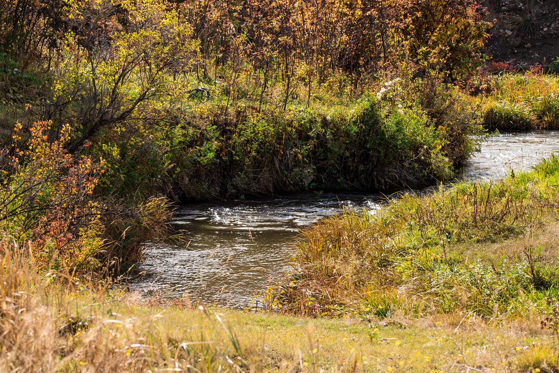 fishing property for sale montana skinner road sanctuary at sxs ranch