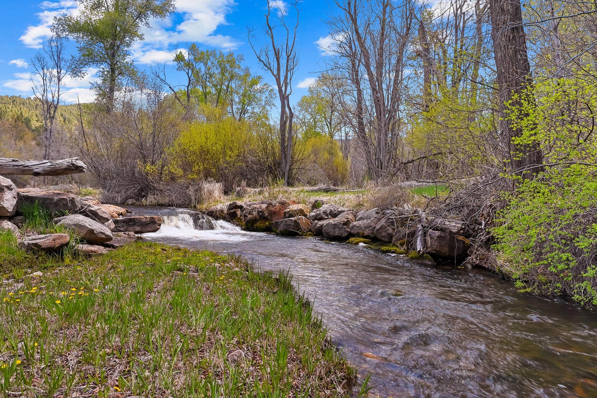 flowing creek with rocky rapids residential estate new mexico old canones creek ranch