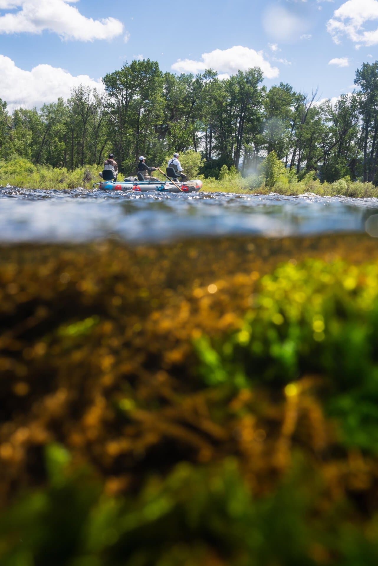fly fishing montana complete fly fisher