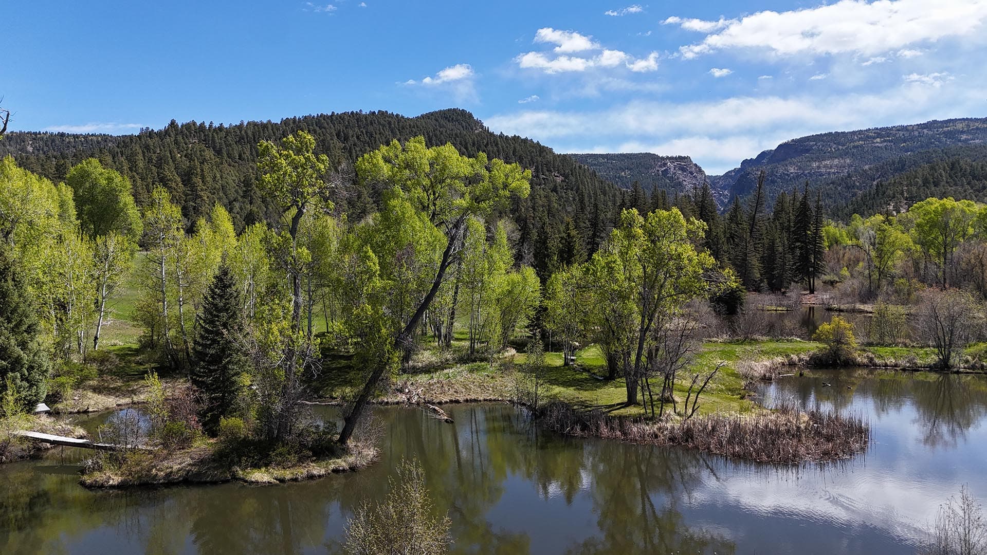 fly fishing property with pond and bridge residential estate property fors ale new mexico old canones creek ranch