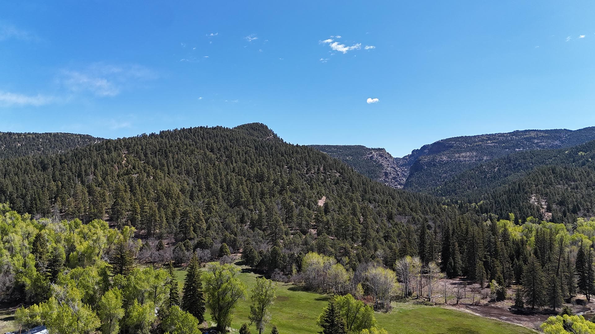 forested mountain valley residential estate new mexico old canones creek ranch