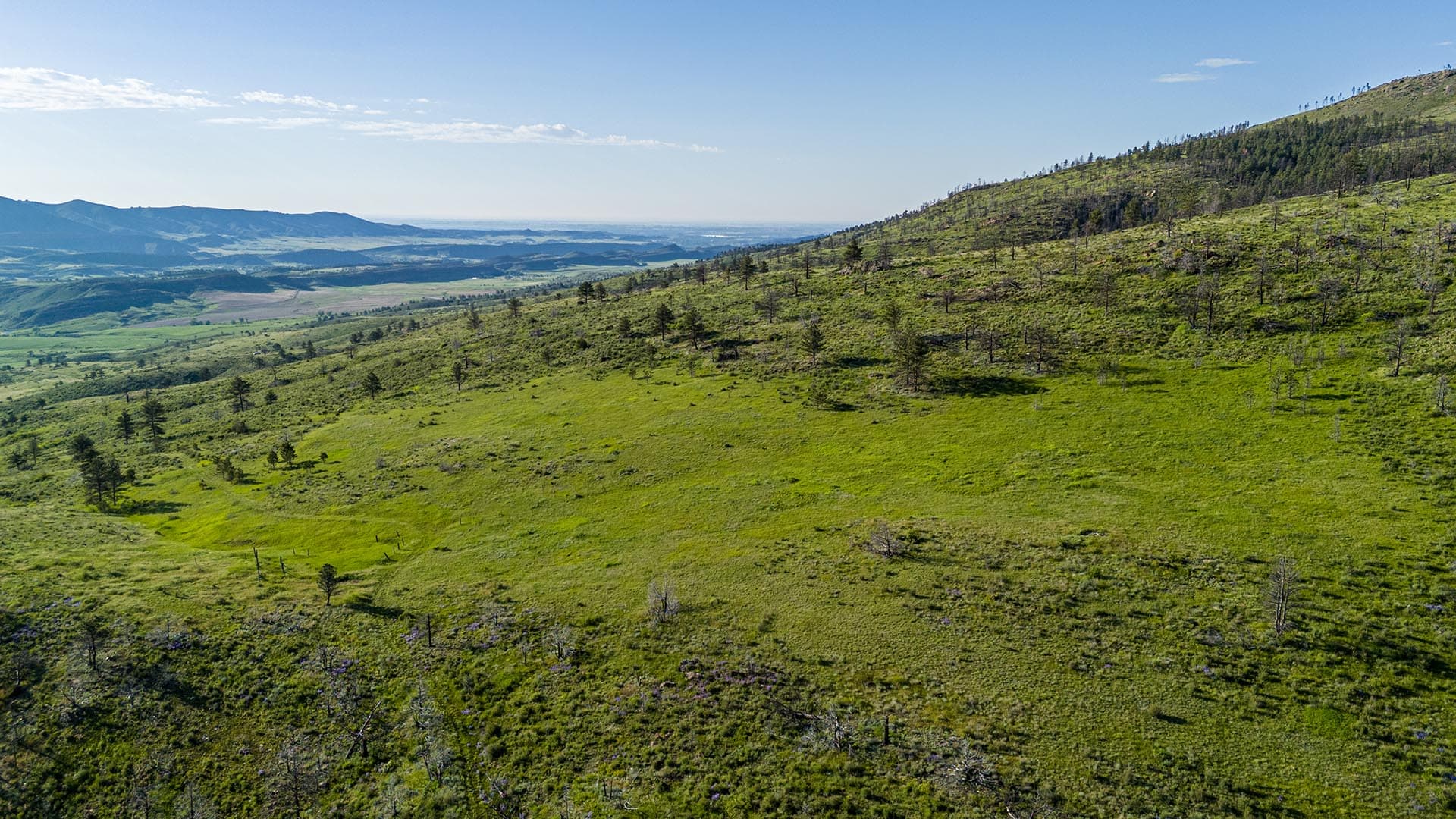 green hillside land for sale colorado bar d ranch