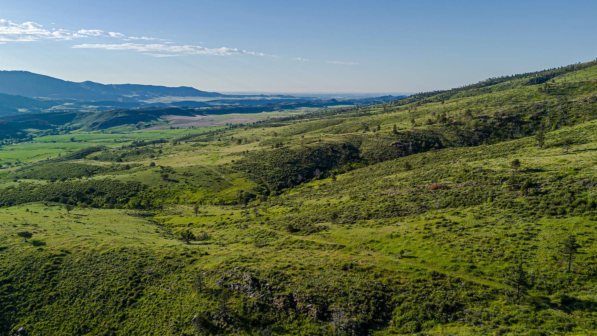 green hillside property colorado bar d ranch