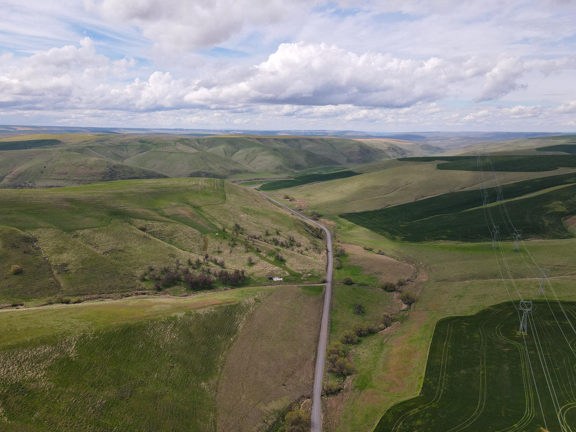 highway to ranch washington whitmore hereford cattle ranch