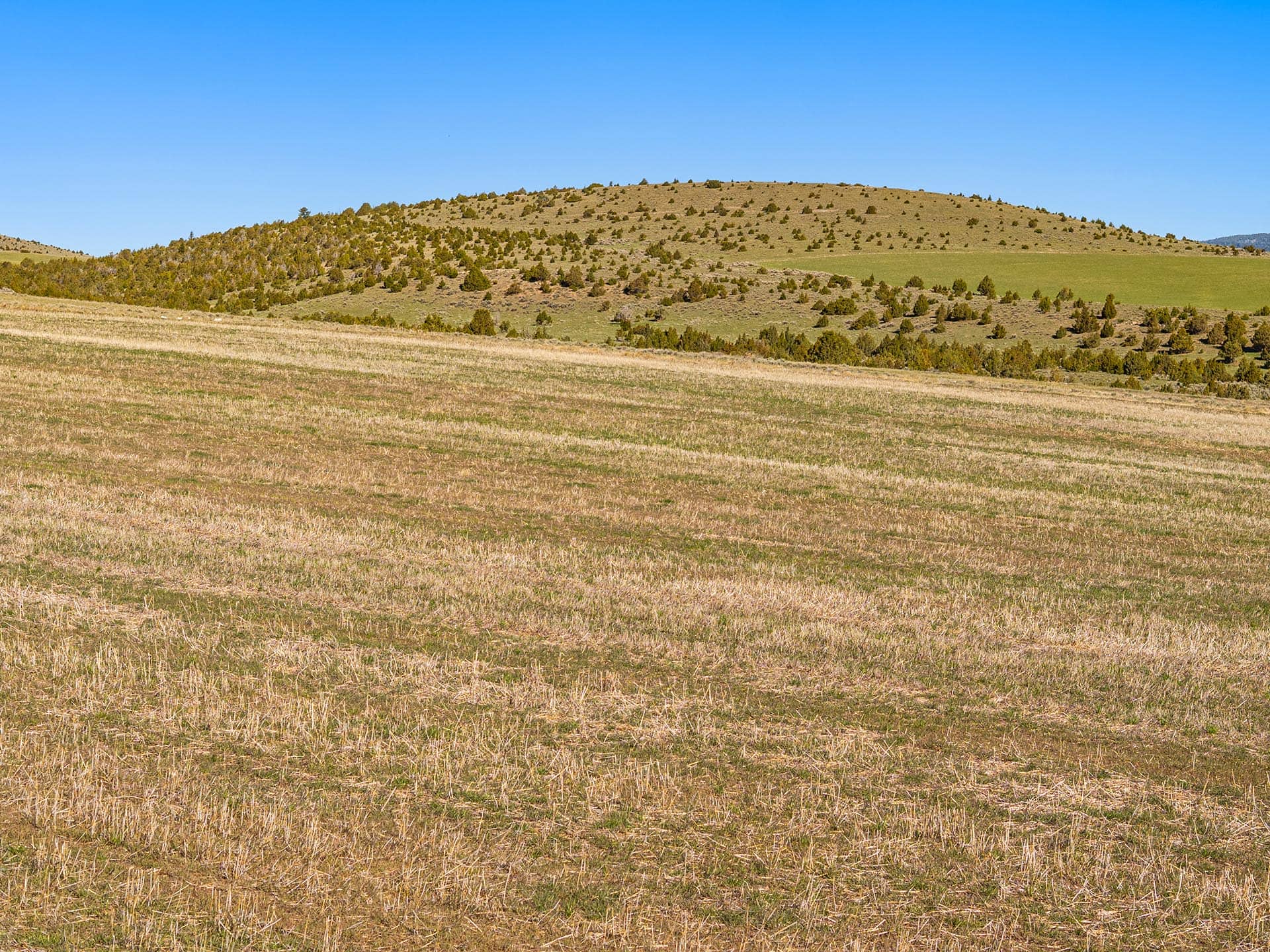 hill montana ridgeline legacy at sxs ranch