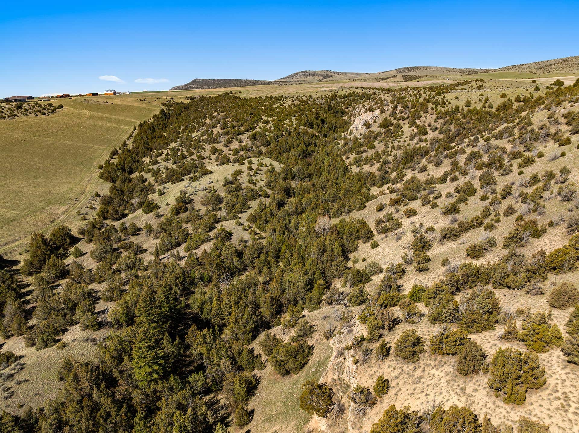 hillside drainage montana whitetail hollow at sxs ranch