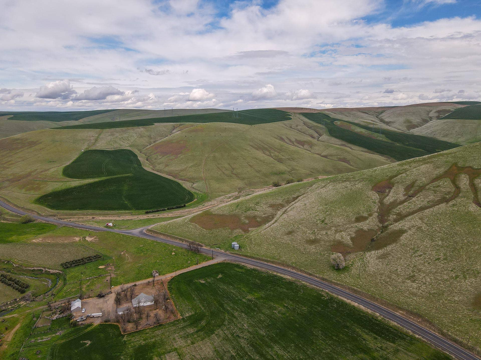 homestead on acreage washington whitmore hereford cattle ranch
