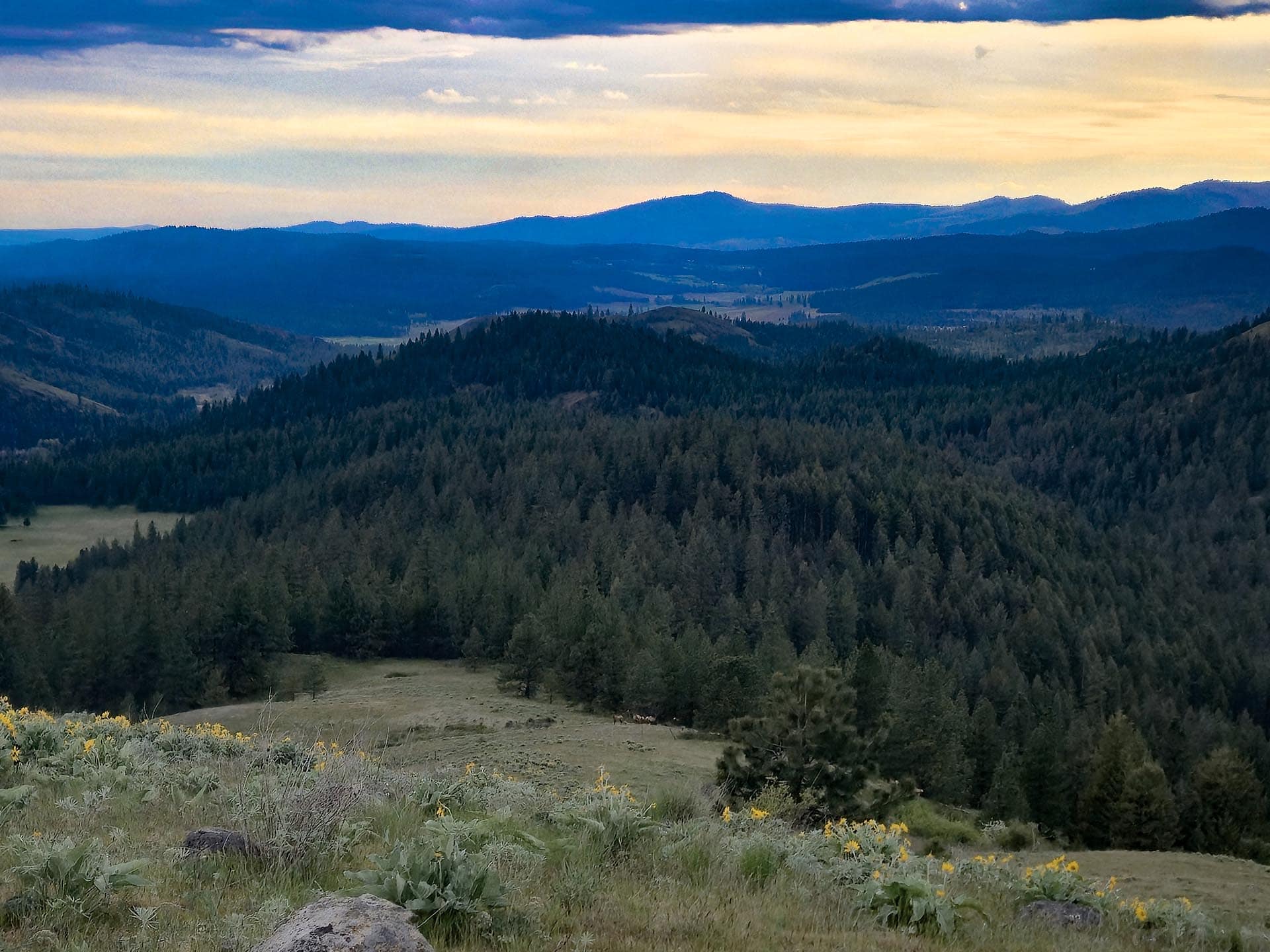 horse property with acreage washington elk ridge