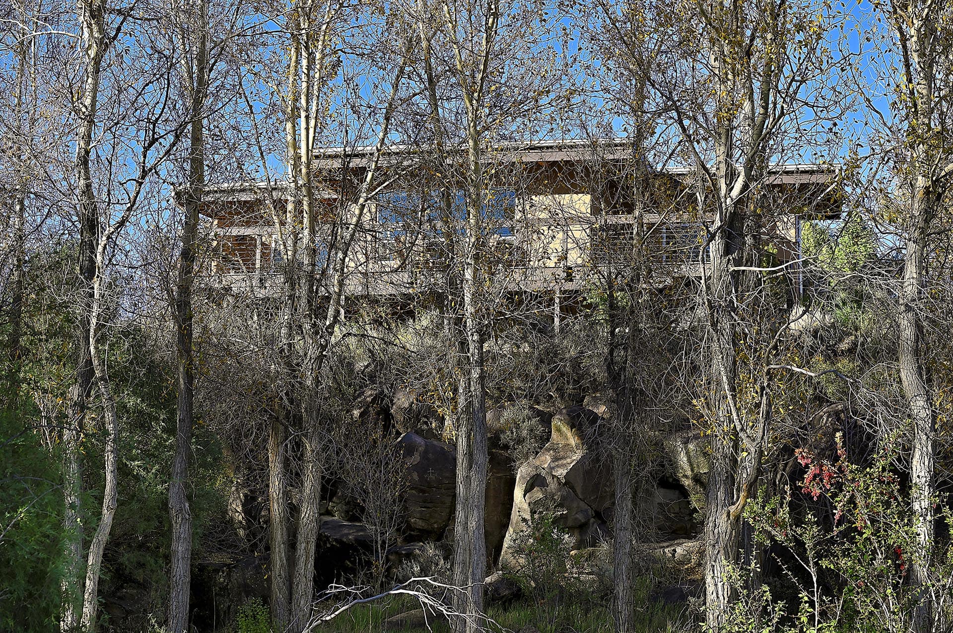 house in the trees new mexico dos rios