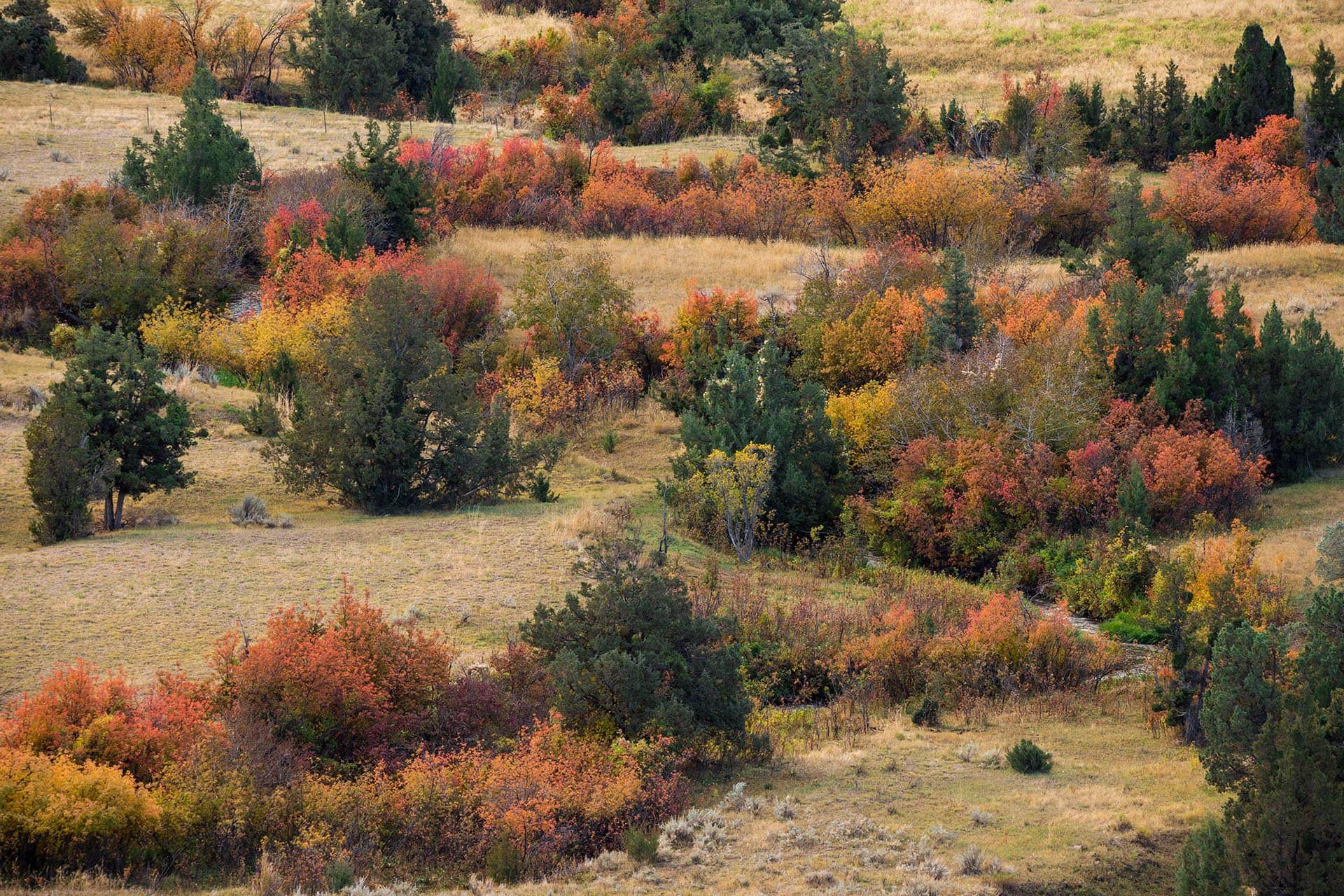 hunting land for sale montana skinner road sanctuary at sxs ranch