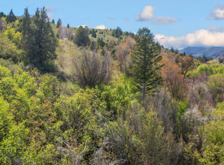 idaho land only for sale walker creek lookout