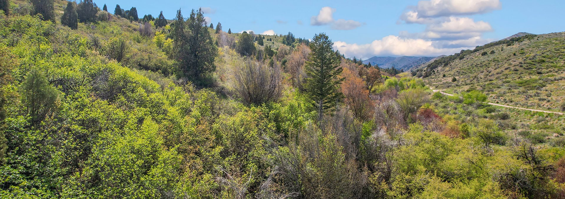 idaho land only for sale walker creek lookout