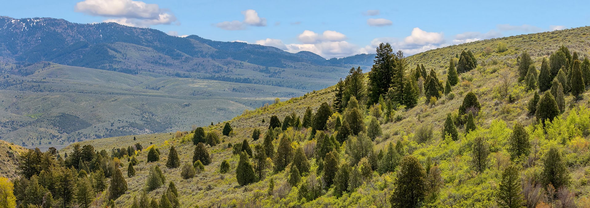 idaho ranch for sale Walker Creek Lookout