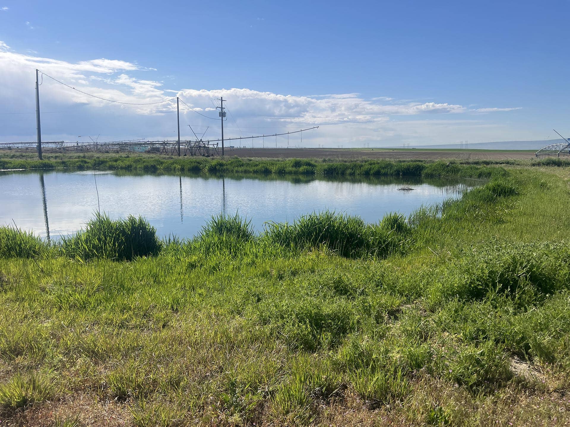 irrigation pond washington preston organic irrigated farm