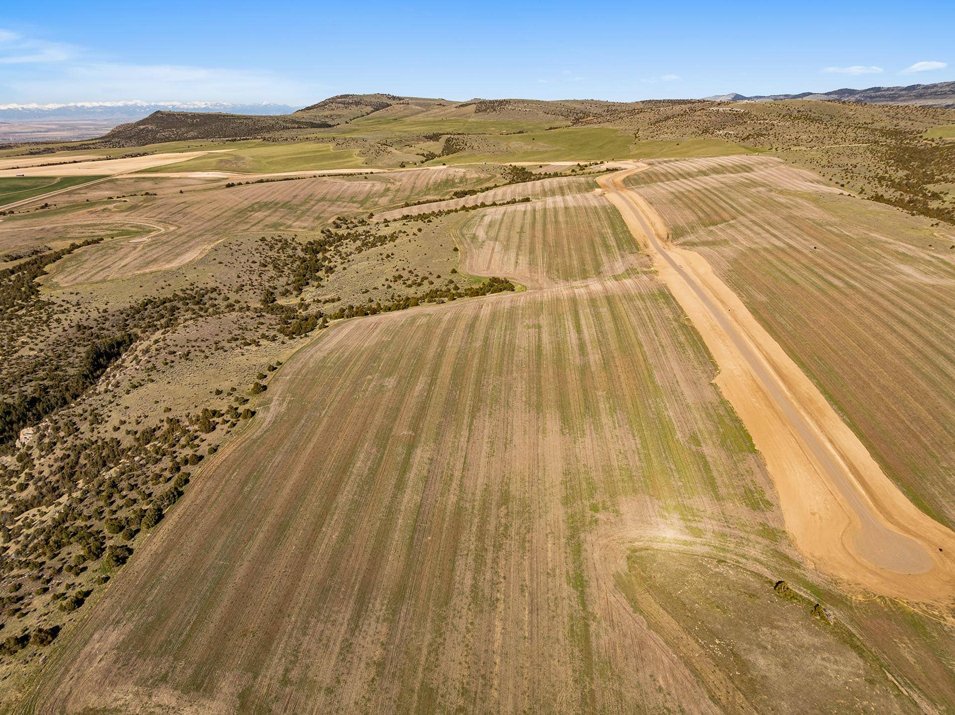 land for sale with rolling cultivated fields and dirt road montana golden meadow at sxs ranch