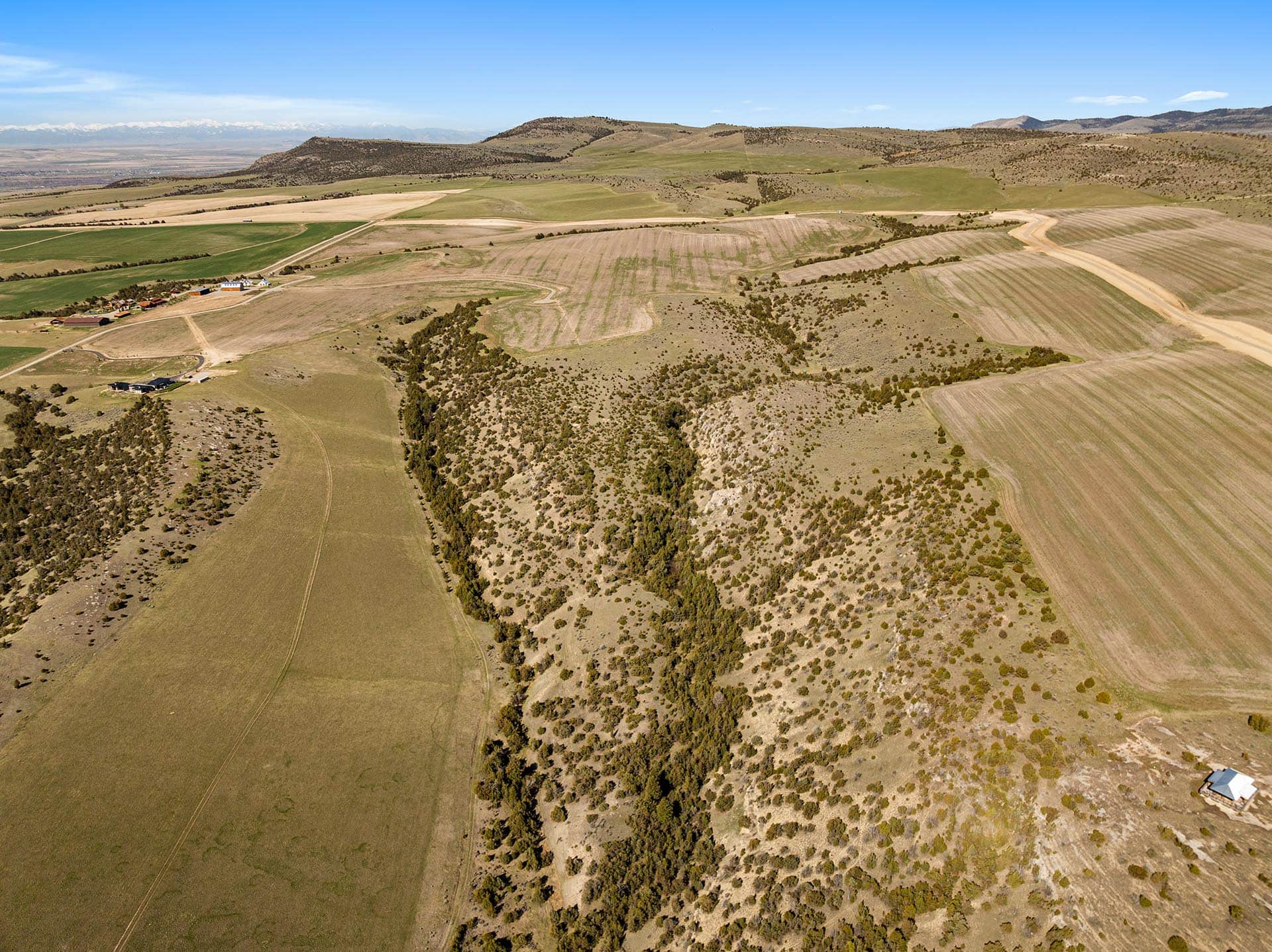 land montana whitetail hollow at sxs ranch