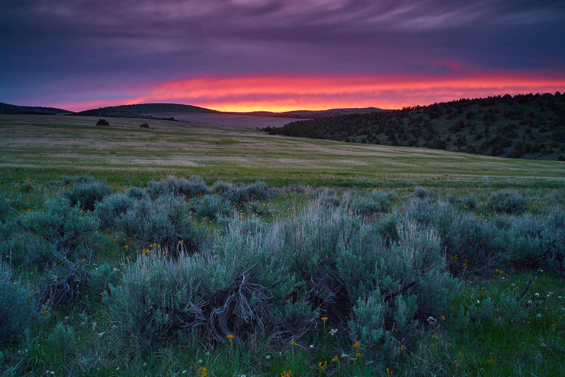 land sage montana ridgeline legacy at sxs ranch