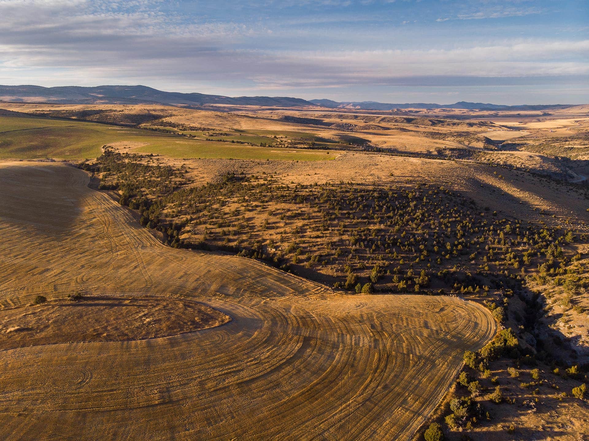 land to build montana whitetail hollow at sxs ranch