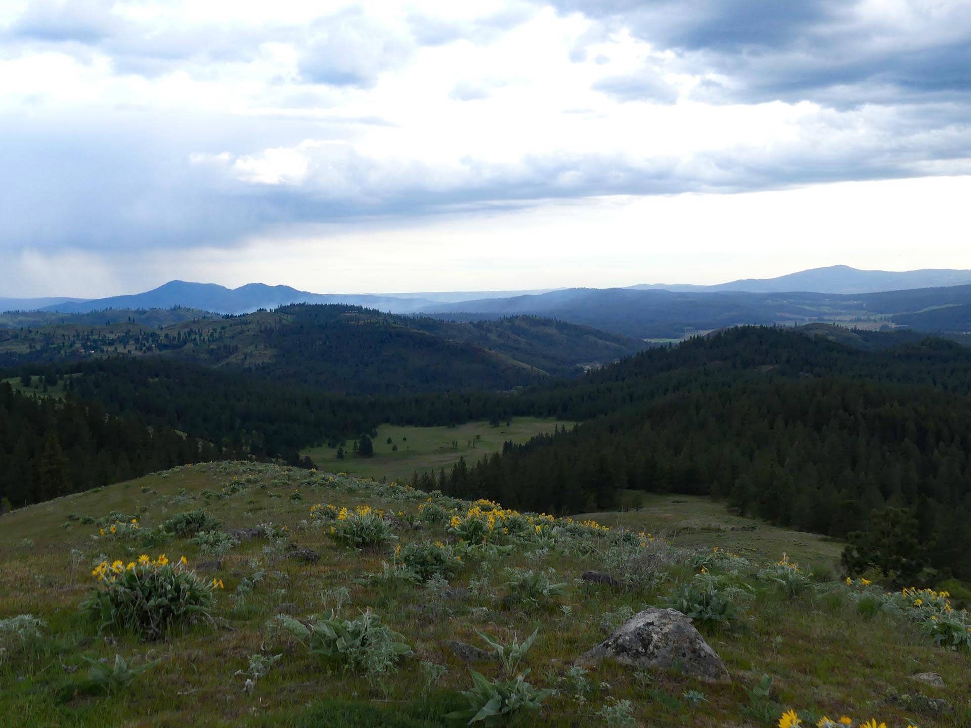 land with scenic overlooks washington elk ridge