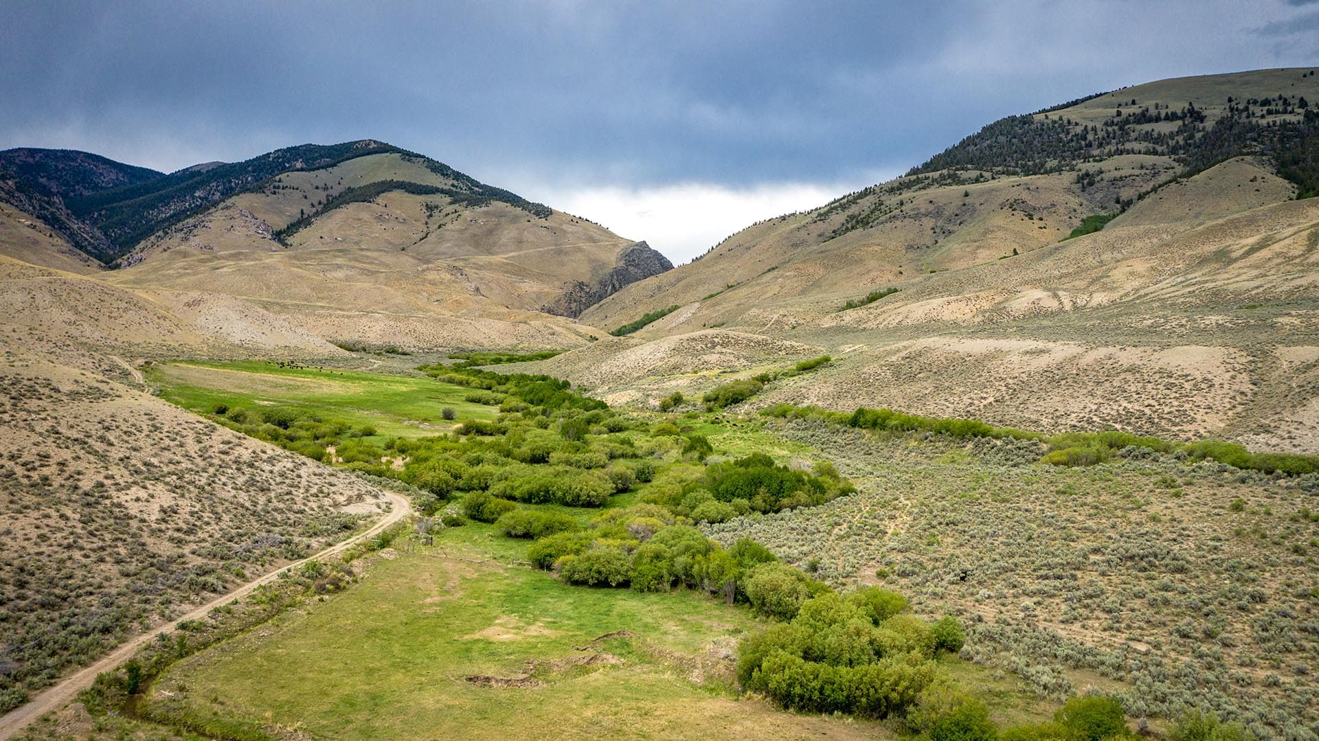 large acreage ranch for sale Idaho Leadore Angus Ranch