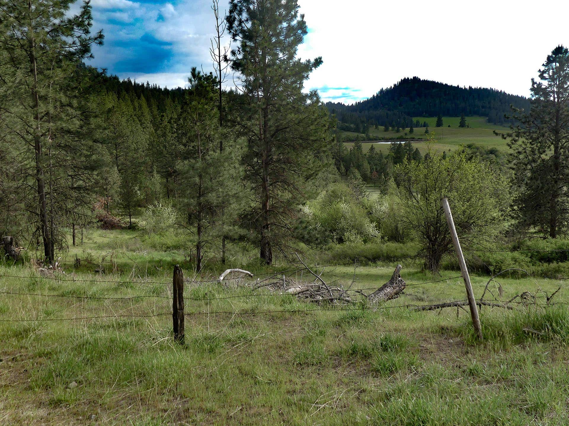 large acreage ranch washington elk ridge