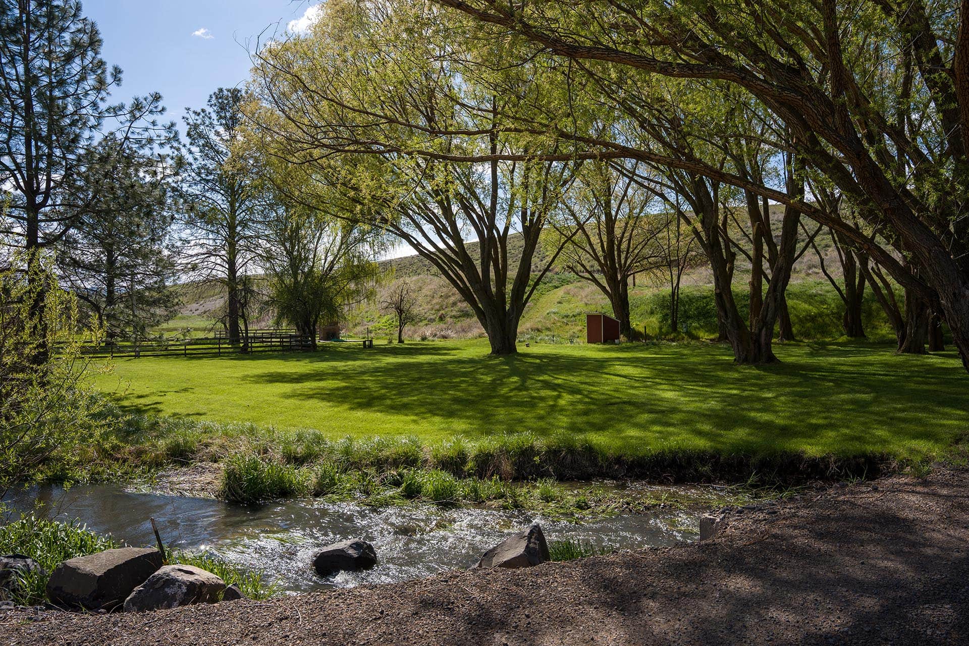 lower lawn oregon thorn creek ranch