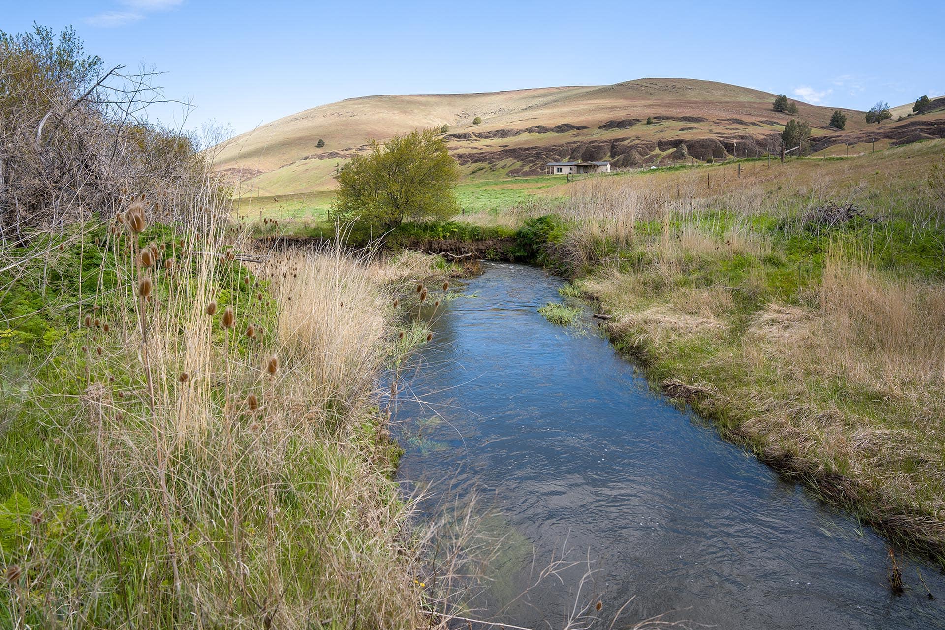 lower ranch creek oregon thorn creek ranch