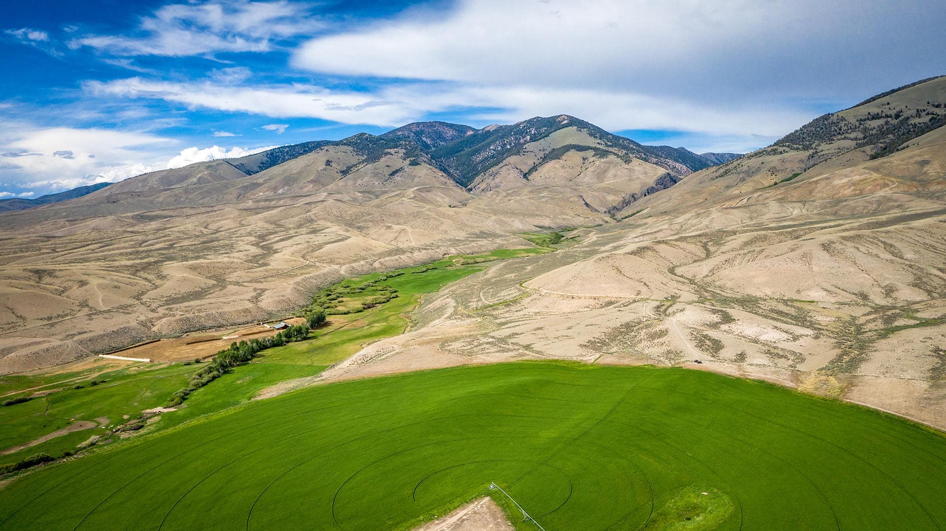 luxury western ranch Idaho Leadore Angus Ranch