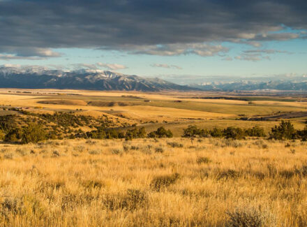 montana land for sale skinner road sanctuary at sxs ranch