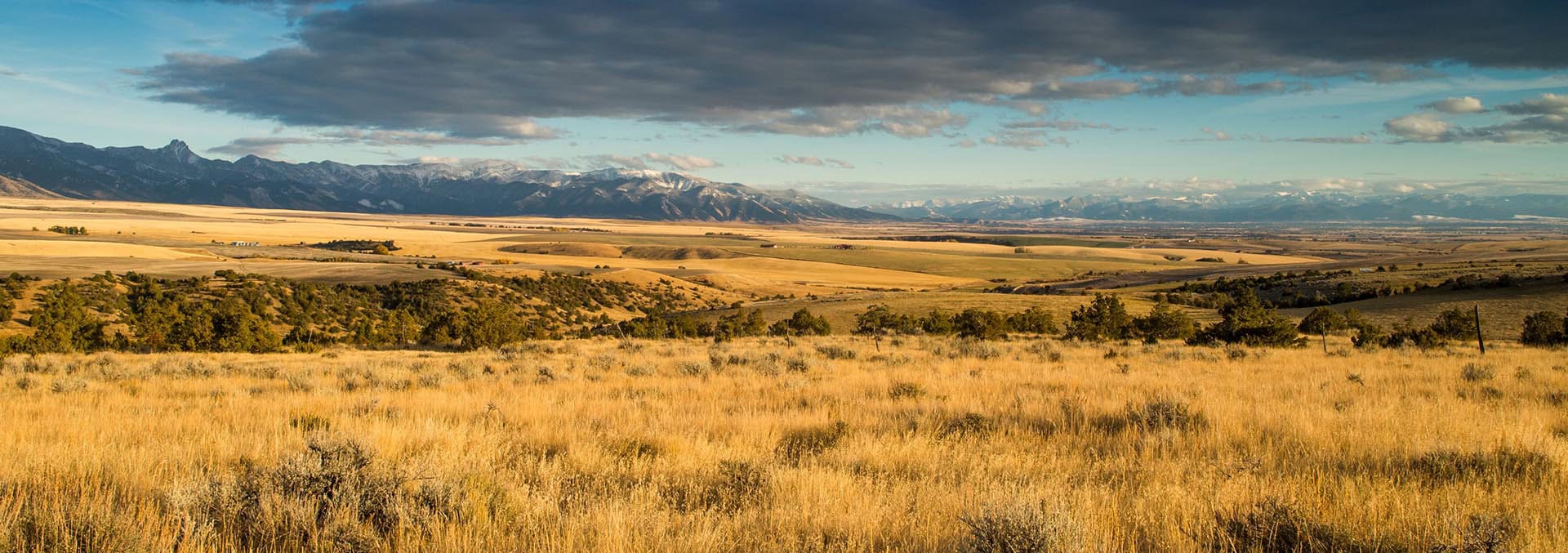 montana land for sale skinner road sanctuary at sxs ranch